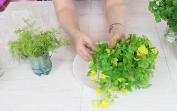 Почистить чеснок быстро, отделить листья петрушки и хранение лука: 8 самых полезных лайфхаков для кухни Почистить чеснок быстро, отделить листья петрушки и хранение лука: 8 самых полезных лайфхаков для кухни
