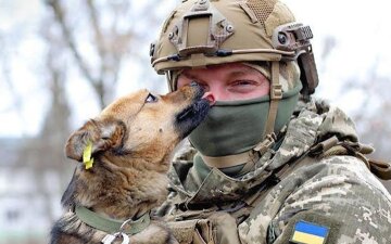 Коммуналка больше не проблема: льготы для военных и их семей Коммуналка больше не проблема: льготы для военных и их семей