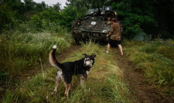 "Заморозки не будет": известный таролог ответил, когда прекратятся обстрелы, и какой будет осень 2024 "Заморозки не будет": известный таролог ответил, когда прекратятся обстрелы, и какой будет осень 2024