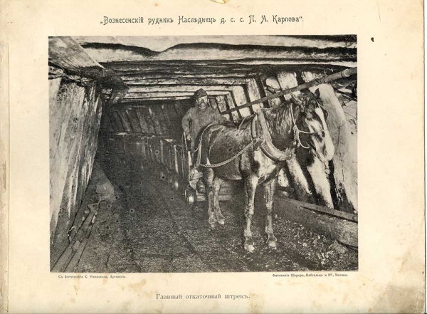 Донецкий щелчок Вересаева: магнит, холера, любовницы-тунеядки Донецкий щелчок Вересаева: магнит, холера, любовницы-тунеядки