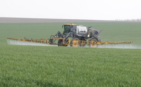 Правительство планирует ввести новое направление поддержки агропроизводителей Правительство планирует ввести новое направление поддержки агропроизводителей