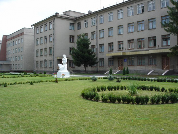 В Луцке протестуют медики клинического роддома В Луцке протестуют медики клинического роддома