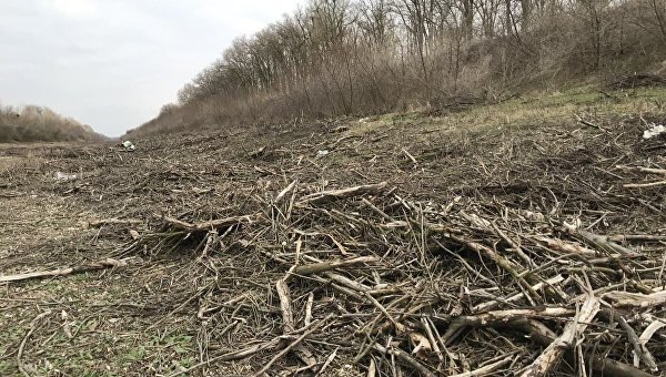 «Это возвращение жизни»: Как жители северного Крыма встречают воду из Днепра «Это возвращение жизни»: Как жители северного Крыма встречают воду из Днепра