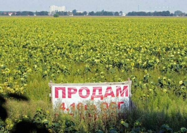 Главные новости за 27 апреля: 100 гектаров, место на кладбище и 3500 грн каждому украинцу Главные новости за 27 апреля: 100 гектаров, место на кладбище и 3500 грн каждому украинцу