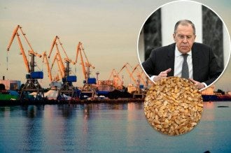 В РФ заявили о готовности провести встречу с Украиной для решения зернового вопроса
