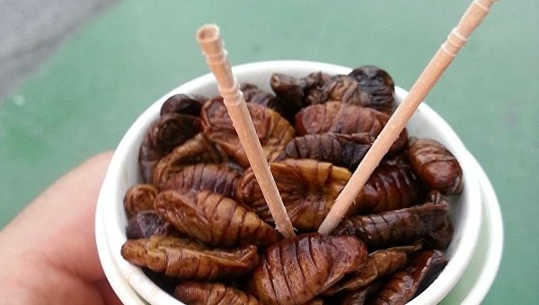 Гнилая кукуруза, котлеты из мошек и мороженое из человеческого молока: семь мерзких блюд мира Гнилая кукуруза, котлеты из мошек и мороженое из человеческого молока: семь мерзких блюд мира
