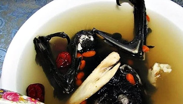 Гнилая кукуруза, котлеты из мошек и мороженое из человеческого молока: семь мерзких блюд мира Гнилая кукуруза, котлеты из мошек и мороженое из человеческого молока: семь мерзких блюд мира