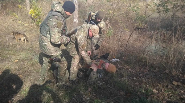 Киев укрепляет позиции военных в районе участка отвода сил у Золотого Киев укрепляет позиции военных в районе участка отвода сил у Золотого