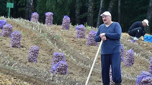 Лукашенко подарил ОМОНу картофель Лукашенко подарил ОМОНу картофель