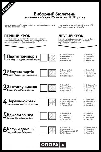Местные выборы - 2020: Что надо знать о новой избирательной системе
Местные выборы - 2020: Что надо знать о новой избирательной системе