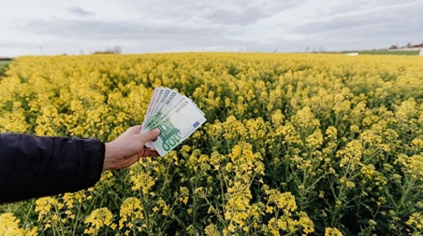 На Украине объявлен крестовый поход против &laquo;земельных махинаторов&raquo;