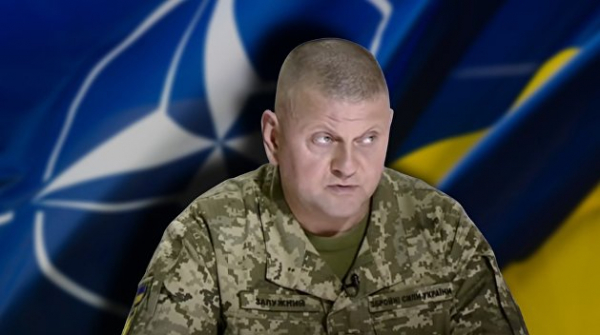 «Назрела необходимость»: главком ВСУ объяснил, зачем украинок ставят на воинский учет «Назрела необходимость»: главком ВСУ объяснил, зачем украинок ставят на воинский учет