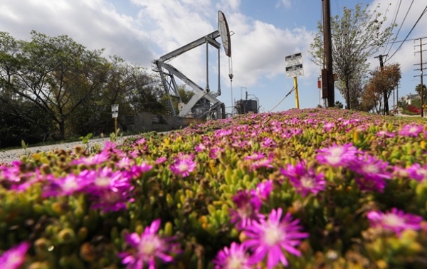 Почему цены на нефть возвращаются к ростуСюжет