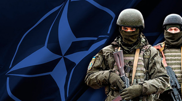 Попробовать Россию на зуб. НАТО может гибридно принять Украину