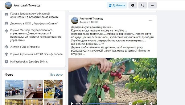 Последствия евроинтеграции: украинские фермеры уничтожают урожай черешни из-за засилья импорта Последствия евроинтеграции: украинские фермеры уничтожают урожай черешни из-за засилья импорта
