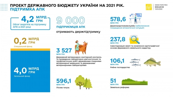Рада поддержала за основу проект Госбюджета на 2021 год
Рада поддержала за основу проект Госбюджета на 2021 год