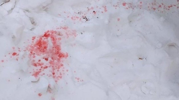 Раскрыта тайна жуткого розового снега в Киеве Раскрыта тайна жуткого розового снега в Киеве