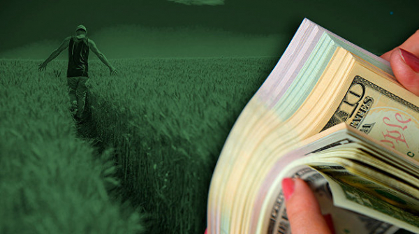 Распродажа начинается. Чего ждать Украине от открытия рынка сельскохозяйственных земель Распродажа начинается. Чего ждать Украине от открытия рынка сельскохозяйственных земель