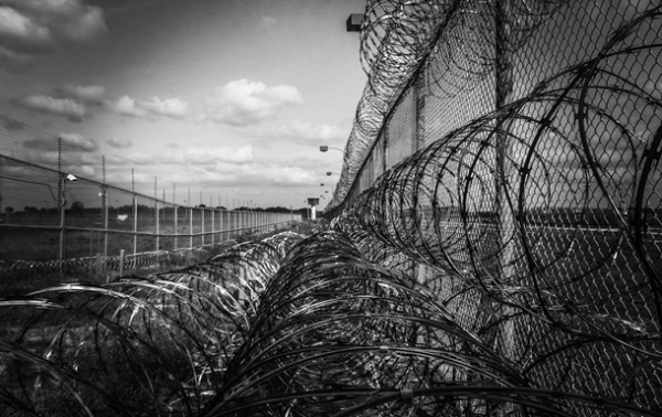 РФ сократила срок подготовки осужденных на фронт РФ сократила срок подготовки осужденных на фронт