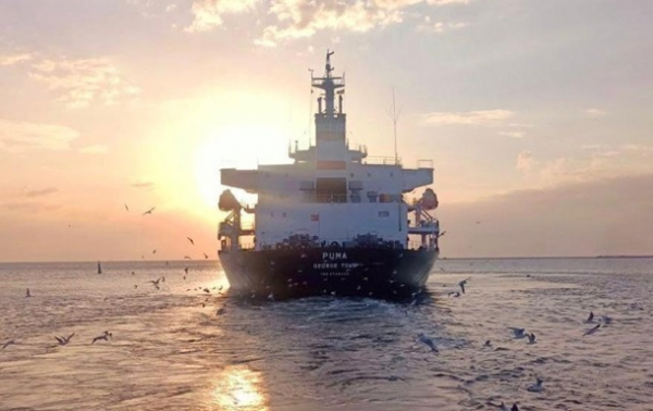Стало известно, сколько металла Украина экспортировала по морю Стало известно, сколько металла Украина экспортировала по морю