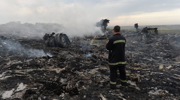 Суд Нидерландов захотел услышать российскую версию атаки на MH-17 Суд Нидерландов захотел услышать российскую версию атаки на MH-17