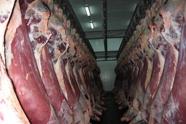Свинина в Украине может подорожать в 2021 году, - Ассоциация животноводов Украины
Свинина в Украине может подорожать в 2021 году, - Ассоциация животноводов Украины