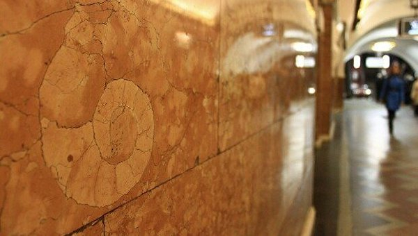 Тайны подземелья: 5 неожиданных фактов о метро Киева Тайны подземелья: 5 неожиданных фактов о метро Киева