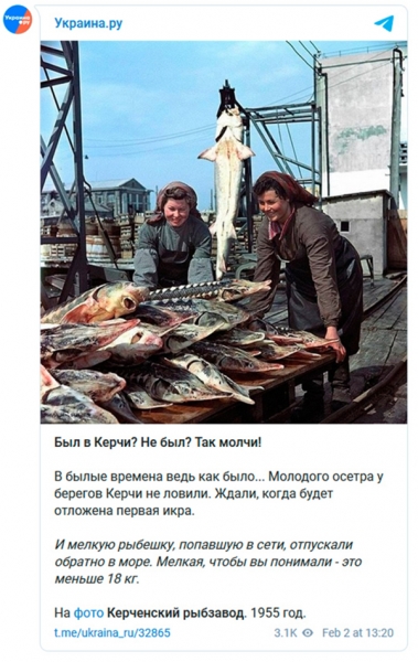 «Тележка» полная событий. Обзор телеграм-канала Украина.ру с 1 по 5 февраля «Тележка» полная событий. Обзор телеграм-канала Украина.ру с 1 по 5 февраля