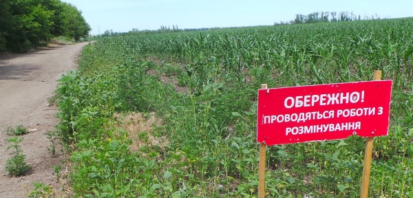 
                    ТКГ согласовала 19 участков для разминирования                