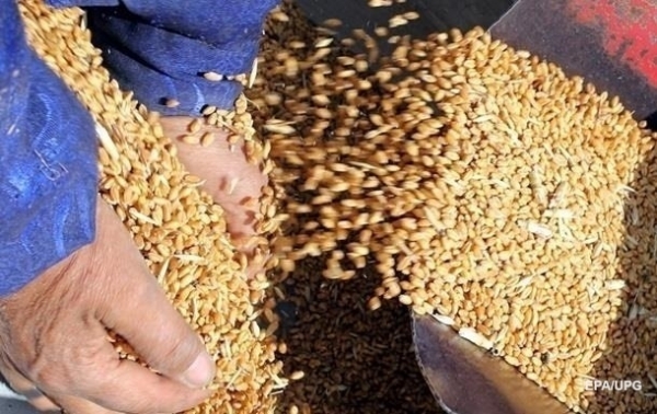 Торговля агропродукцией Украины с ЕС упала на 5%