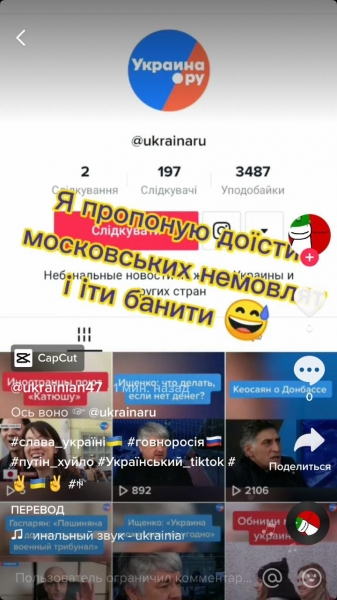 Украину.ру в TikTok атаковали неонацисты Украину.ру в TikTok атаковали неонацисты