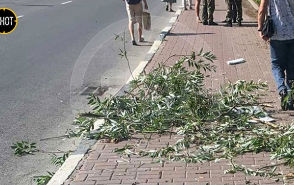 В Брянске заявили о сбитии трех БПЛА, один упал на гостиницу В Брянске заявили о сбитии трех БПЛА, один упал на гостиницу