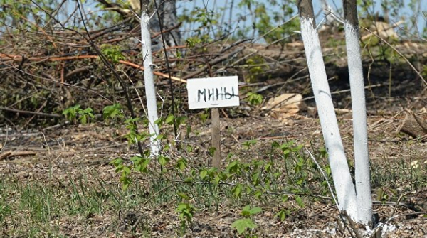 В ЛНР заявили о подрыве украинских силовиков на собственных минах В ЛНР заявили о подрыве украинских силовиков на собственных минах