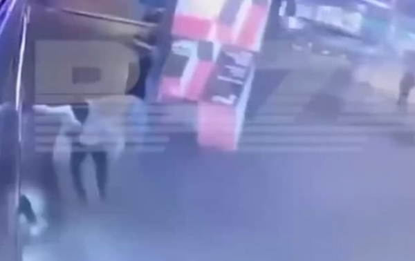 В Москве женщина во время драки упала под автобус. 18+ В Москве женщина во время драки упала под автобус. 18+