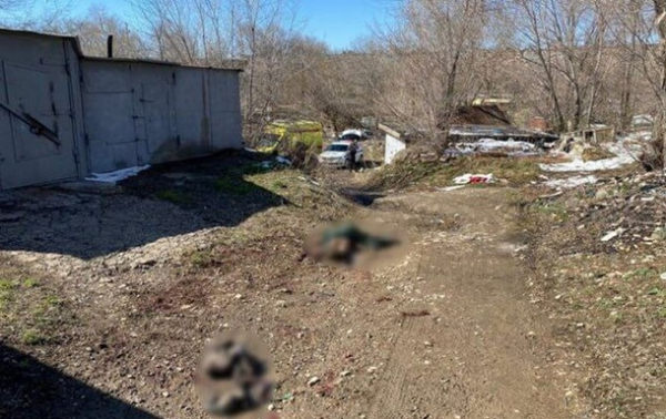 В российском городе собаки загрызли мальчика В российском городе собаки загрызли мальчика
