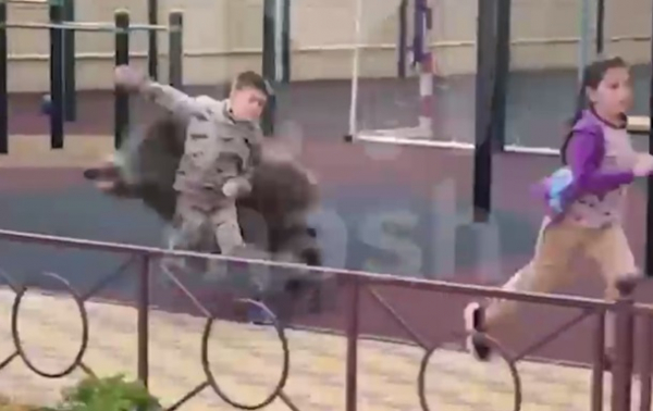 В Ростове-на-Дону на детей напал дикий кабан В Ростове-на-Дону на детей напал дикий кабан