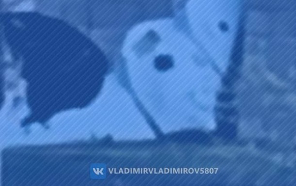 В Ставропольском крае РФ упал российский БПЛА В Ставропольском крае РФ упал российский БПЛА