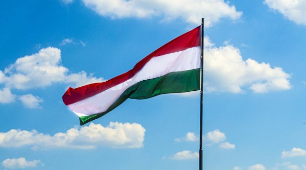 Венгрия не одобрит поставки оружия Украине - Кевехази Венгрия не одобрит поставки оружия Украине - Кевехази
