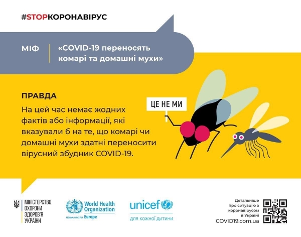 
                    Врачи рассказали, являются ли комары переносчиками коронавируса                