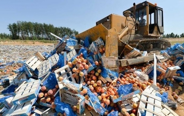 За пять лет в России уничтожили 36 тысяч тонн санкционных продуктов За пять лет в России уничтожили 36 тысяч тонн санкционных продуктов